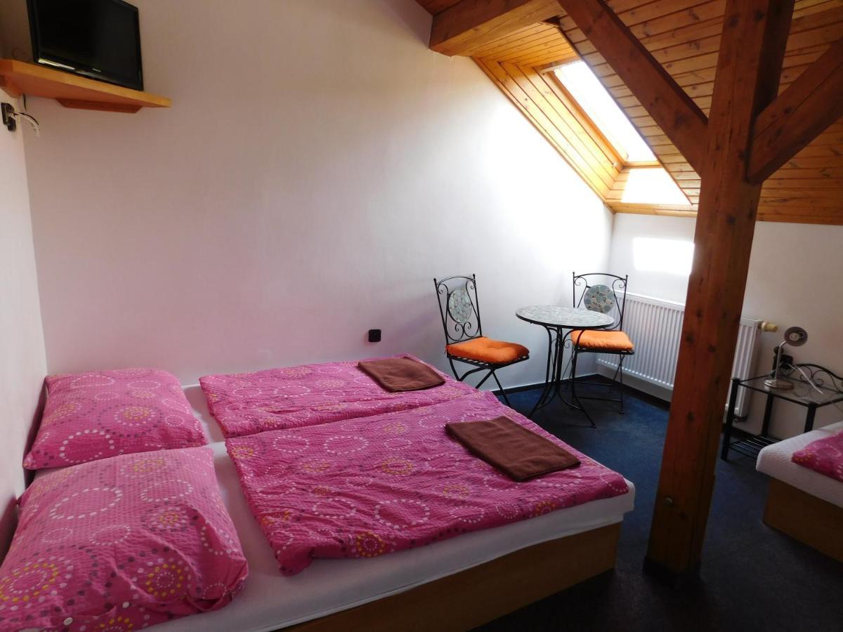 Pension U Mojmíra Rokytnice nad Jizerou Exterior foto